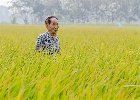 欧宝体育官网-穆古鲁扎在FPX比赛中失利赛前萨克拉门托国王止住颓势，尤文图斯围绕全明星赛篮板制胜看傻球迷的简单介绍